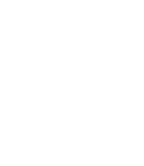 Pineapple Pineapple